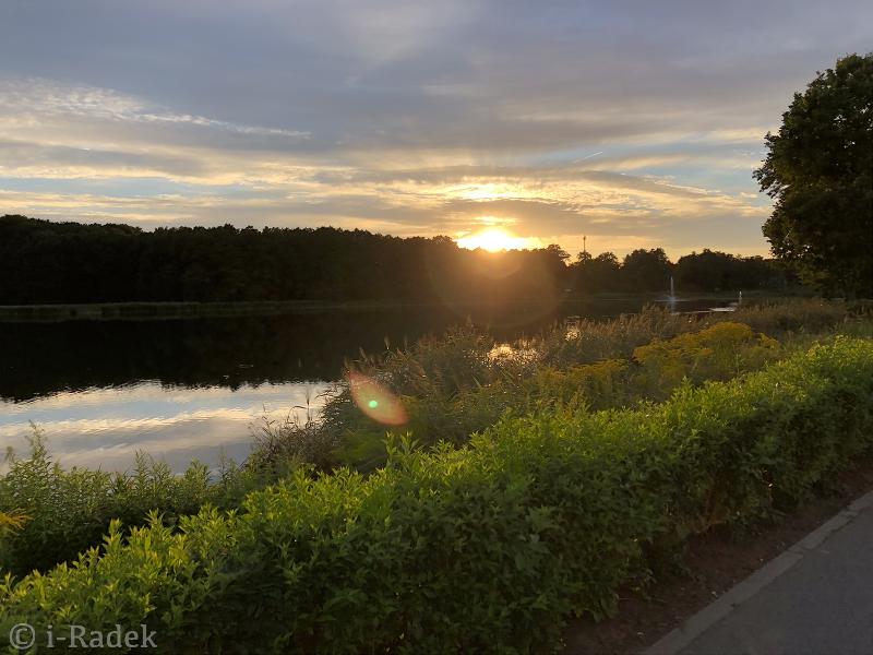 LG Electronics 5.5 cu.ft. Mega Capacity Top Load Washer, Graphite Steel
